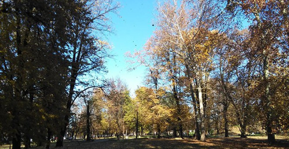 U Srpskoj danas sunčano vrijeme, temperatura 18