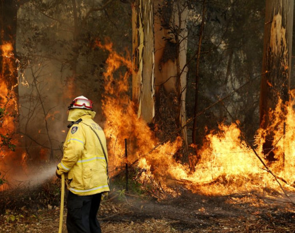 Sidnej: Bukte požari, vatra se otela kontroli