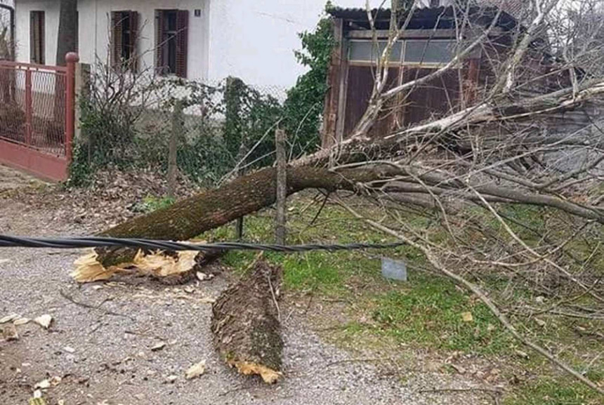 Снажан вјетар поломио стабла у Бањалуци