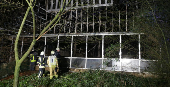 Велики пожар је избио синоћ у зоолошком врту