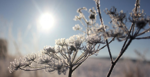 Za Božić sunčano i prohladno, temperatura 10