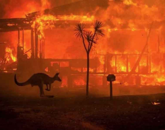 Zbog podmetanja požara optužene 24 osobe