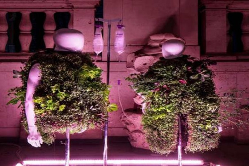 Dizajniran prvi na svetu nosivi povrtnjak!