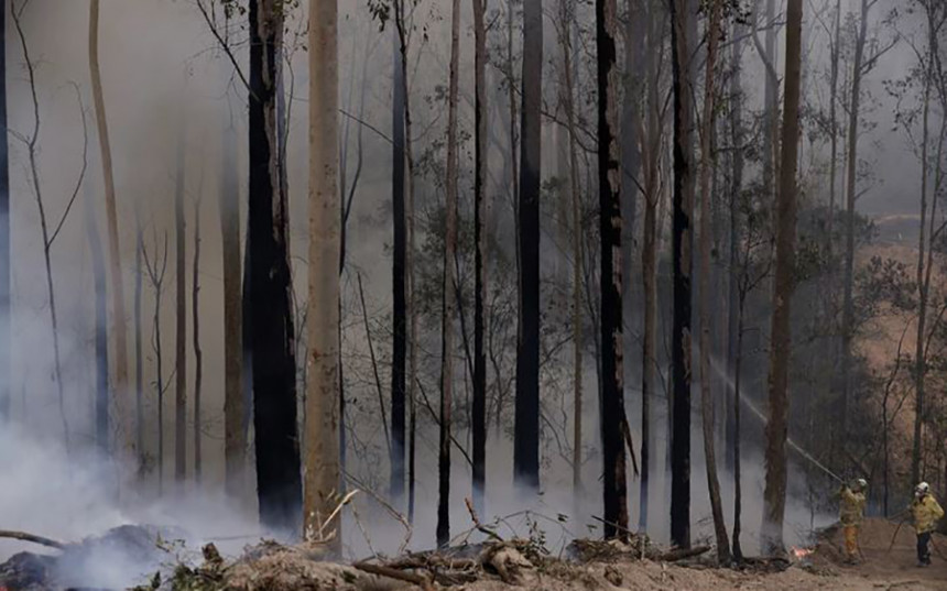 Australija: Nakon mjeseci požara, stigla kiša