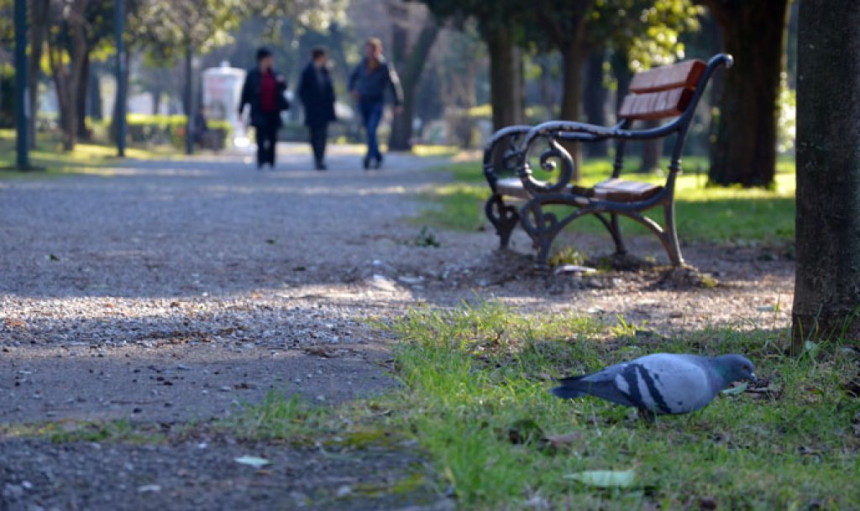 Tokom dana sunčano vrijeme, temperatura 12