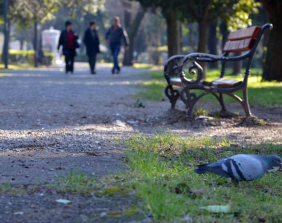 Tokom dana sunčano vrijeme, temperatura 12