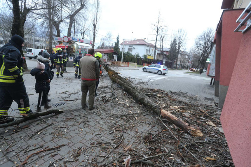 Olujni vjetar oborio stablo  u Banjaluci