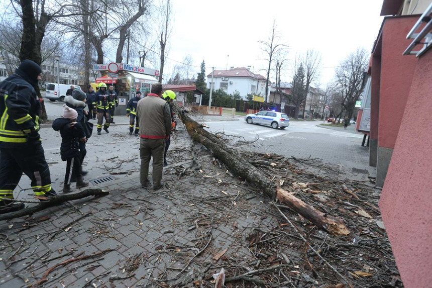 Olujni vjetar oborio stablo u Banjaluci