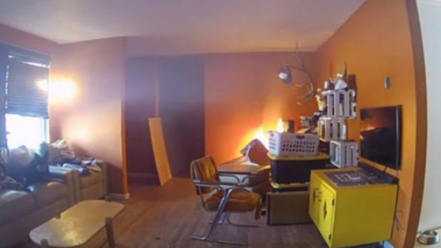 Kućni ljubimac tokom igre zapalio dnevnu sobu! (VIDEO)
