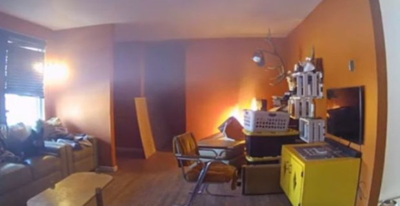 Kućni ljubimac tokom igre zapalio dnevnu sobu! (VIDEO)