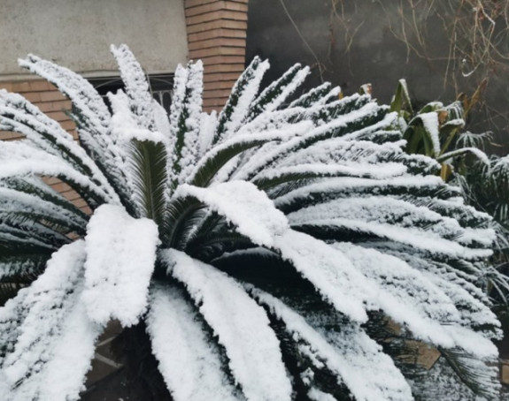 U posljednjih 100 godina u Bagdadu pao snijeg drugi put