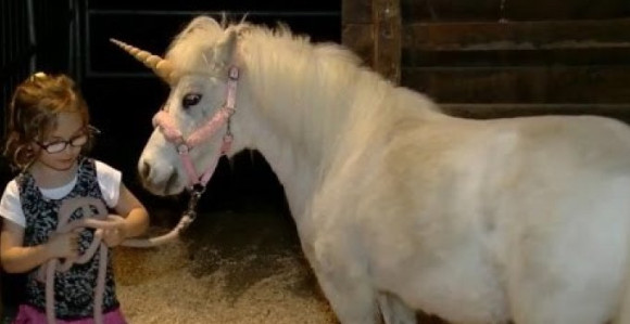 Паника: Аутопутем трчи митско створење