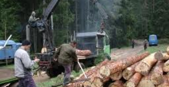 Fizički napad u Šumskom gazdinstvu na Sokocu