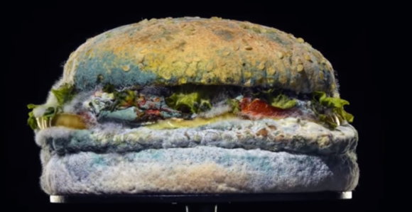 Da li ste za jedan "buđavi hamburger"?!