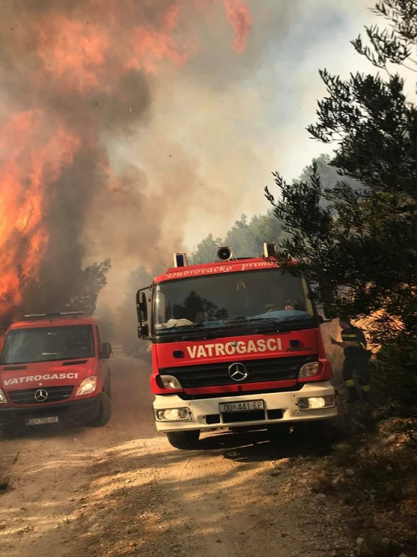 Пожар гута густу шуму код Стона на Пељешцу