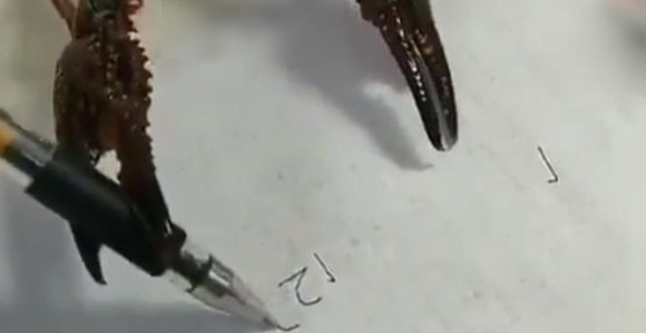 Rak koji piše?! (video)