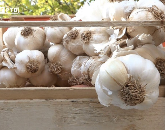Navala na bijeli luk, kilogram košta 12 maraka
