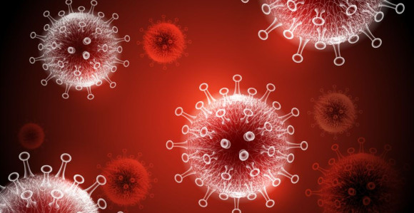 Pandemija virusa i lažne vijesti širom Zapadnog Balkana