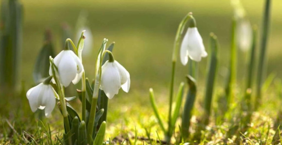 Pravi proljećni dan, temperatura do 21 stepen