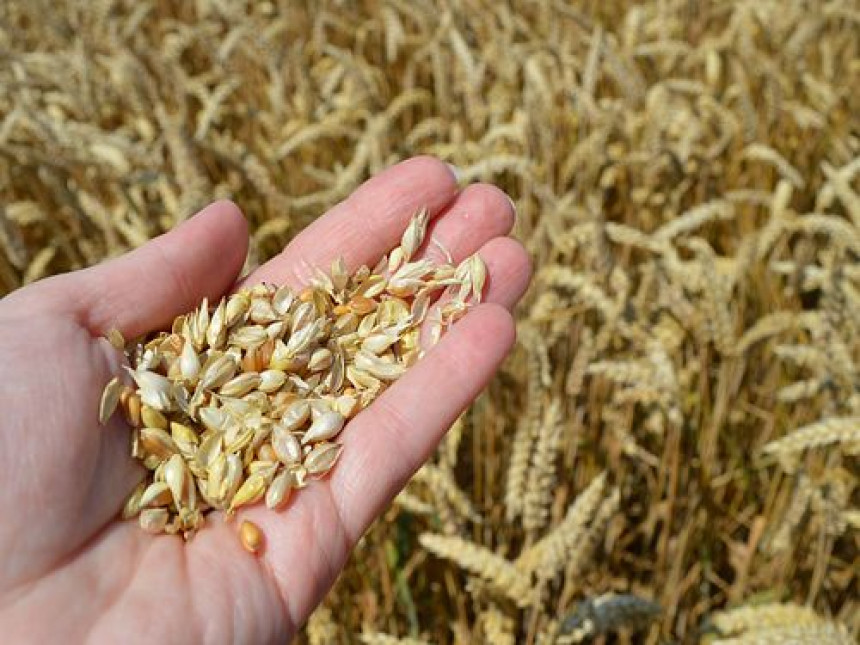 Република Српска купује пшеницу, соју, кукуруз...