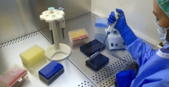 Češka: Pet studenata iz BiH pozitivno na virus korona
