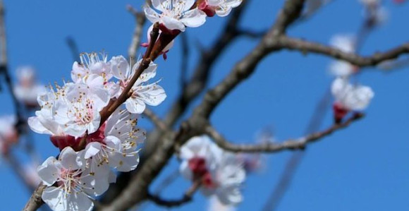 Danas sunčano i toplo, temperatura do 18 stepeni