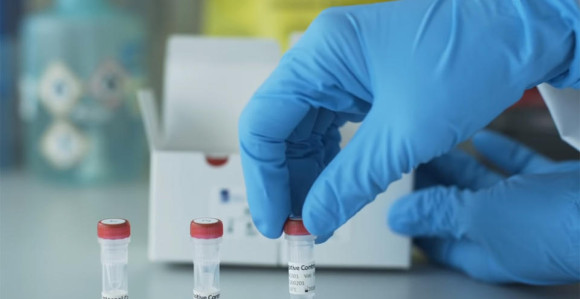 BiH: Novih šest slučajeva pozitivno na virus korona