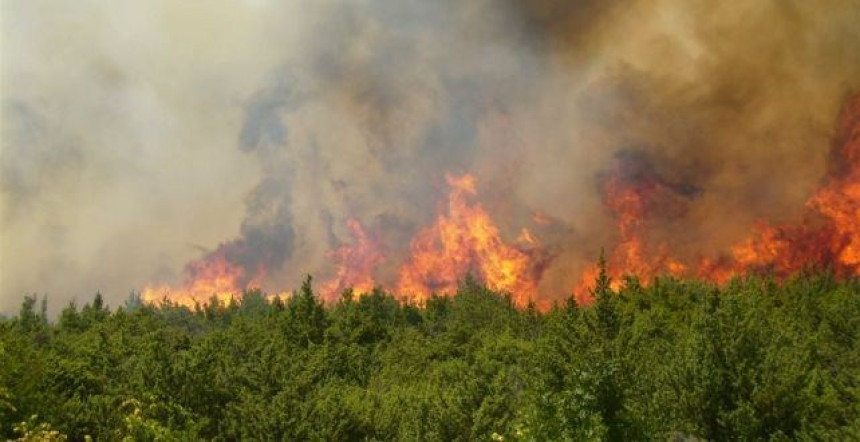 Aktivno 20-ak požara u istočnoj Hercegovini