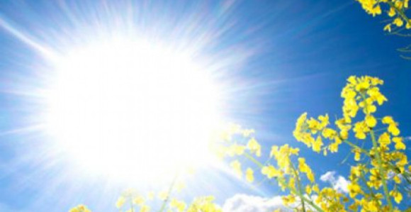 Danas temperatura do 27 stepeni Celzijusovih
