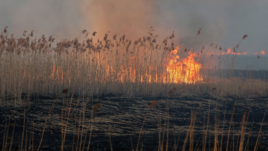Пожар у највећем националном парку у Пољској
