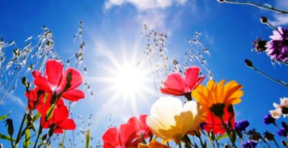 Danas sunčano, poslije podne naoblačenje