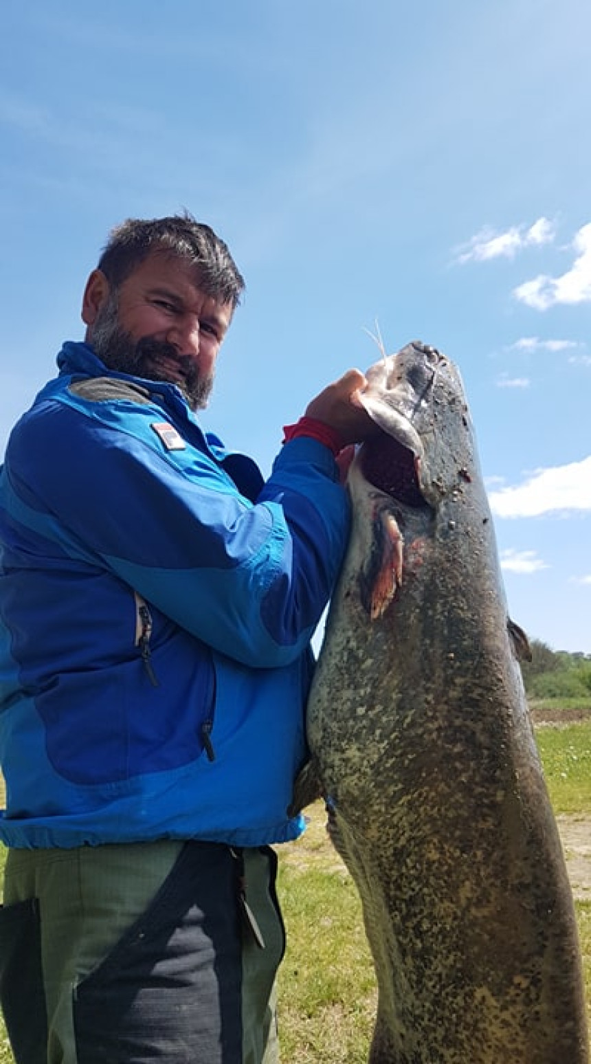 U Vrbasu ulovio soma kapitalca od 20 kilograma