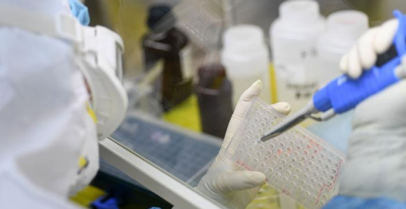 Ne preporučuje se testiranje u privatnim laboratorijama
