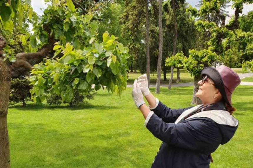 Ana Bekuta iskoristila lepo vreme da prošeta Kalemegdanom!