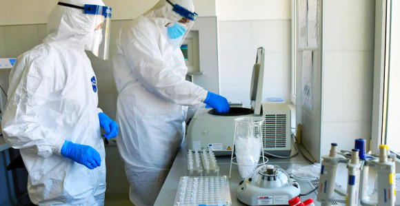 Antitijela koja sprečavaju prodor virusa korona