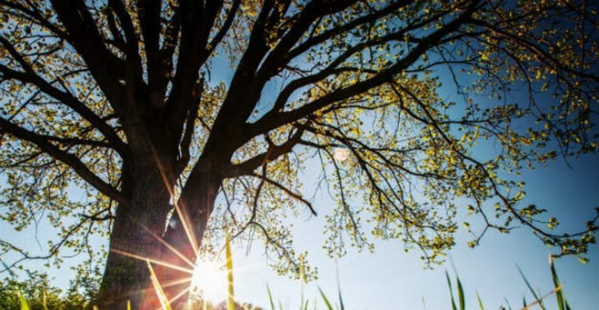 Danas pretežno sunčano i toplije, temperatura do 19