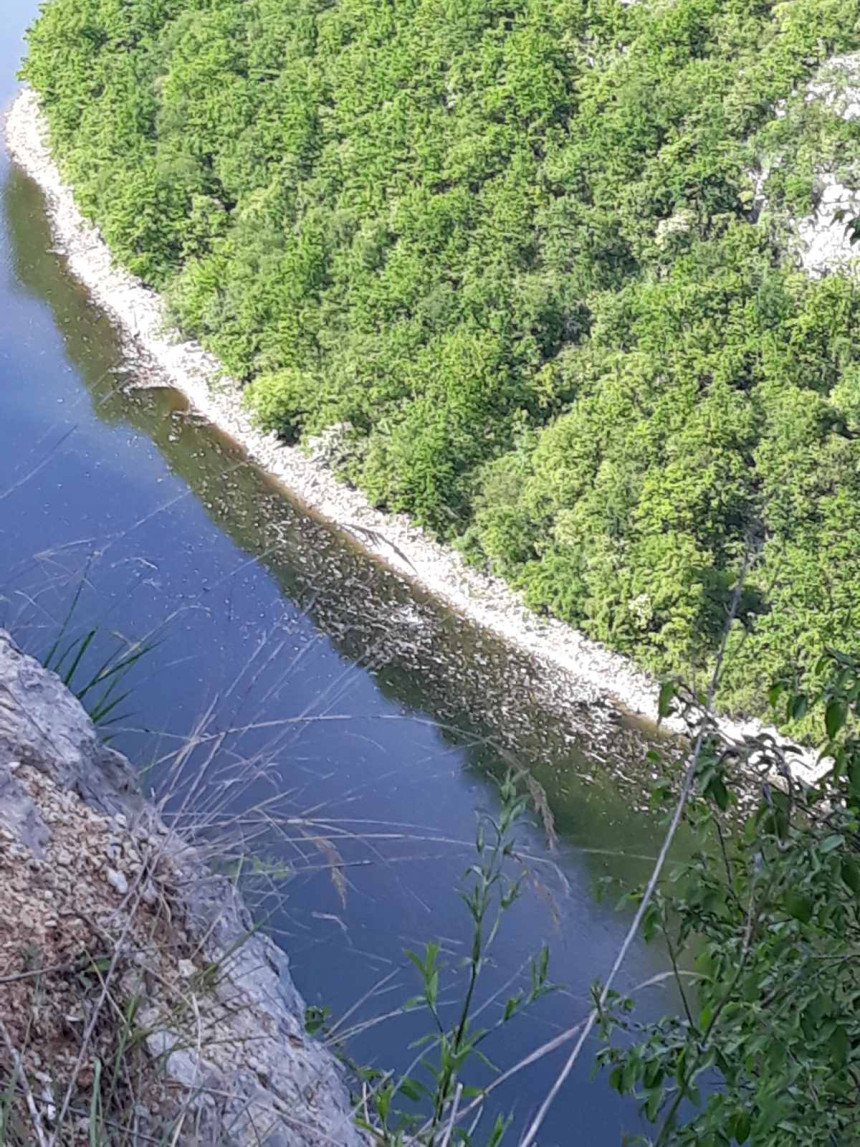 Ново загађење ријеке Врбас код Бочца (ФОТО)