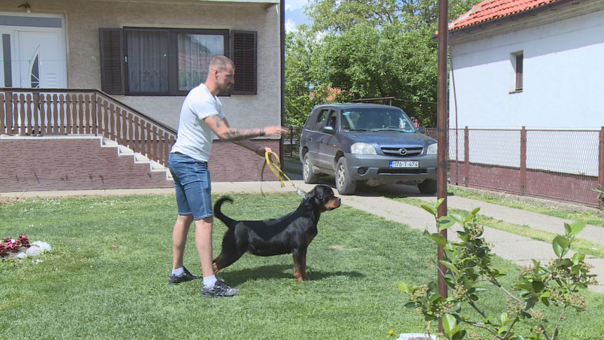 Filip je život posvetio čovjekovom najboljem prijatelju