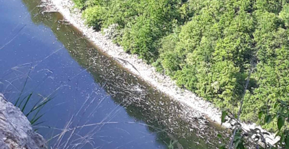 Novo zagađenje rijeke Vrbas kod Bočca (FOTO)