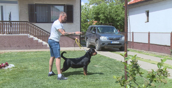 Filip je život posvetio čovjekovom najboljem prijatelju