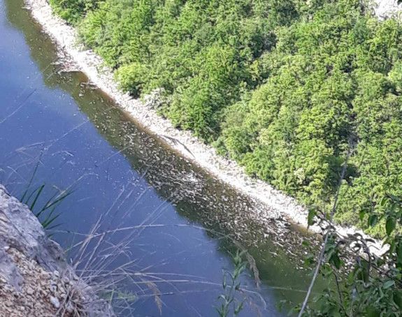Novo zagađenje rijeke Vrbas kod Bočca (FOTO)