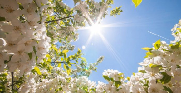 Toplo vrijeme, krajem dana mogući pljuskovi