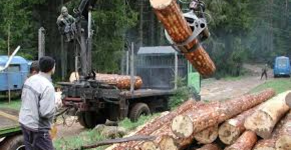 Potop u "Šumama": Čupaju se kreditom od 22 miliona KM