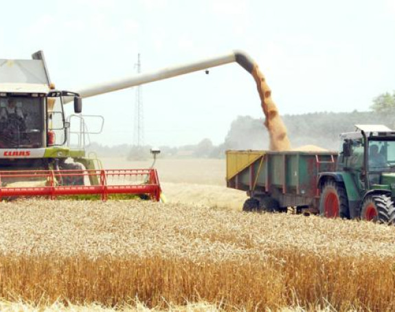Kriza na pragu: Pšenica je "žuta nafta"