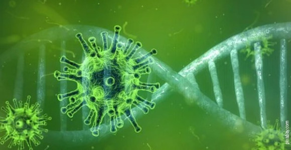 Drugi dan bez žrtava virusa korona u Srbiji