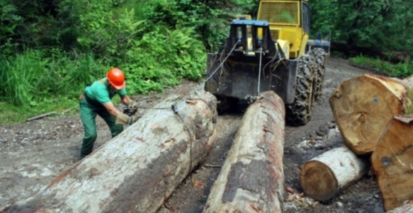 "Šume Srpske" imaju najviše zaposlenih radnika