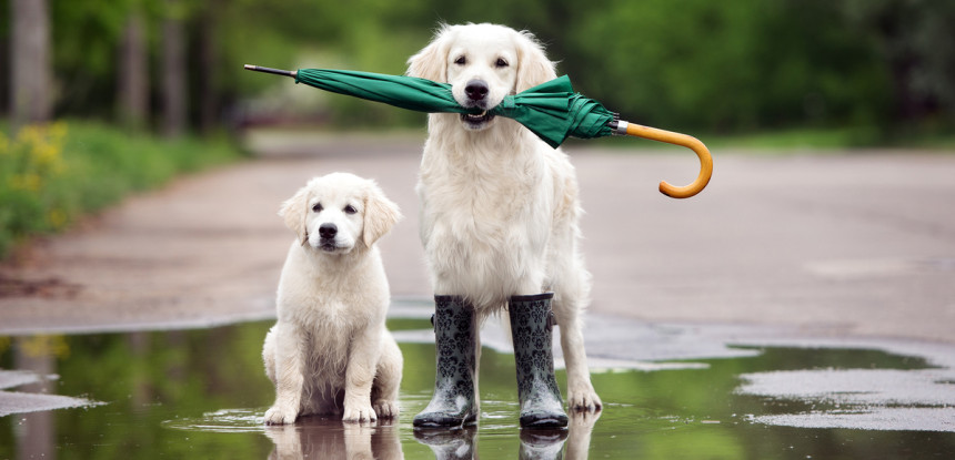 Sutra u Srpskoj uglavnom oblačno i kišovito vrijeme
