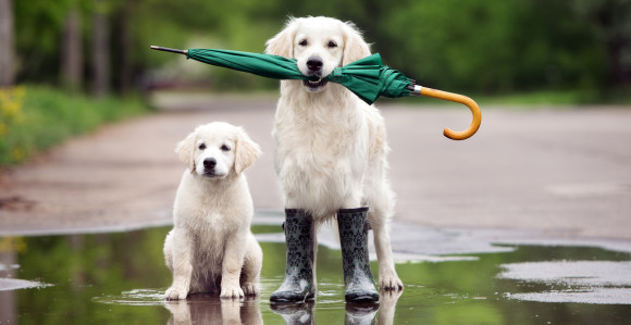 Sutra u Srpskoj uglavnom oblačno i kišovito vrijeme