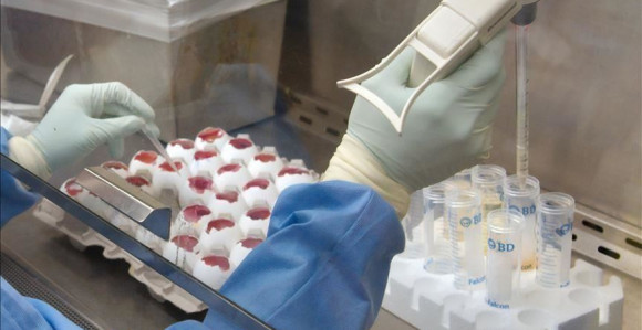 Korona ne jenjava: U Srbiji 66 novih slučajeva