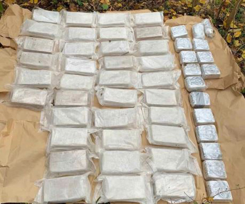 Pala kriminalna banda, uhapšena državljanka CG